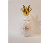 Pinaq Colada 0,05l 17%